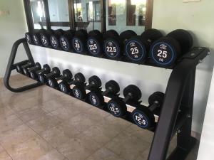 Fitness centrum a/nebo fitness zařízení v ubytování PTK Residence