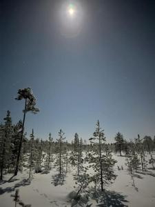 Log-house at Pyhätunturi ski resort. in de winter