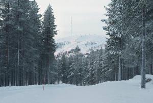 Log-house at Pyhätunturi ski resort. in de winter