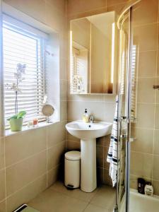 ein Bad mit einem Waschbecken und einem Spiegel in der Unterkunft Private Room in Lucan