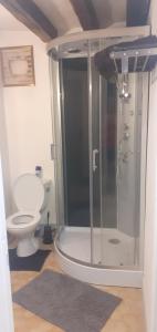 a shower in a bathroom with a toilet at Chez Mick in Pontlevoy