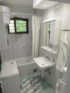 a bathroom with a sink and a mirror and a shower at Villa Amer Lux Apartments in Sarajevo
