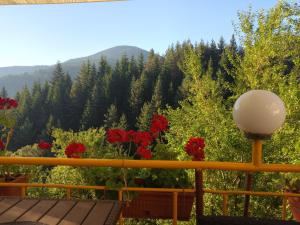 a balcony with red flowers and a view of a mountain at Guest House Stoletnika in Yagodina