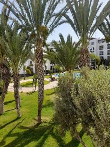 um grupo de palmeiras num parque em Luxury Appartement Marina Agadir em Agadir