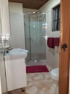 a bathroom with a shower and a sink and a toilet at Sonke Ball House(Nyumba Yangati Mpira) in Nyambadwe