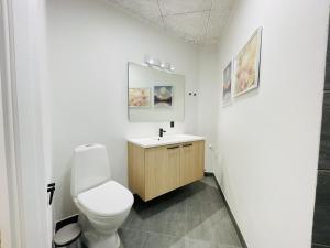 a bathroom with a toilet and a sink at aday - Frederikshavn apartment on the Pedestrian street in Frederikshavn