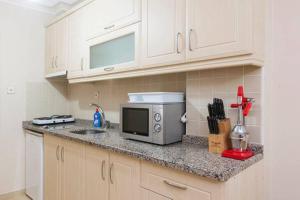 a kitchen with a counter top with a microwave at Pine Stone Apart Hotel Sultanahmet in Istanbul