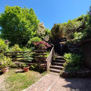 a garden with a wooden fence and stairs at Chalet Spessart in Dammbach