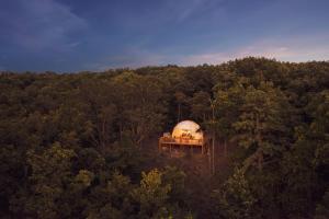 a domed building in the middle of a forest at Glamping dome w hot tub & mountain views in Augusta