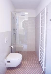 a bathroom with a white toilet and a shower at Old Town Flat with Private Patio in Kutná Hora