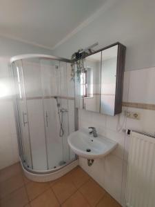 ein Bad mit einer Dusche und einem Waschbecken in der Unterkunft Ferienwohnung Obere Aue in Niederau