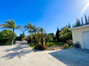 a house with palm trees and a driveway at Spacious & Modern 4B3B house in Pasadena in Pasadena