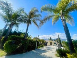 a group of palm trees in front of a house at Spacious & Modern 4B3B house in Pasadena in Pasadena