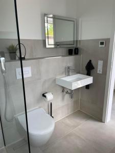 a bathroom with a toilet and a sink and a mirror at Heide-Liebe in Soltau