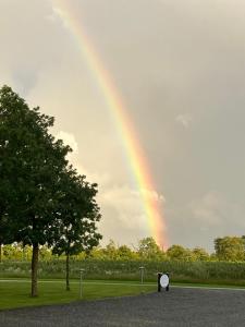 a rainbow in the sky with a person standing in a park at Bolding Apartments in Billund