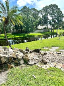 un parc avec un palmier et une masse d'eau dans l'établissement Luxurious pool home in Palm Beach County, Florida, à Wellington