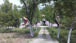 Gallery image of Casa Calda Apartments in Cetinje