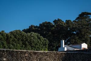 eine Wand mit einem Haus und Bäumen im Hintergrund in der Unterkunft ENTRE MUROS - Turismo Rural - Casa com jardim e acesso direto ao mar in Ribeira Grande