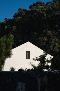 un bâtiment blanc avec une fenêtre à côté de quelques arbres dans l'établissement ENTRE MUROS - Turismo Rural - Casa com jardim e acesso direto ao mar, à Ribeira Grande