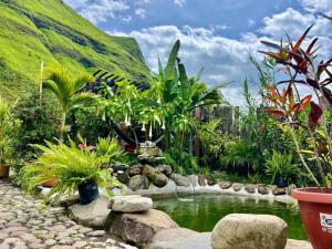 einen Garten mit einem Teich vor einem Berg in der Unterkunft CABAÑAS DOS RIOS in Cotacachi