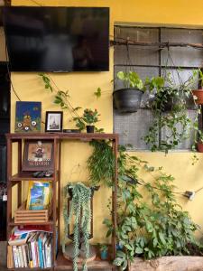 una habitación con TV y algunas plantas en una pared en El Calvario Hostal en Cobán