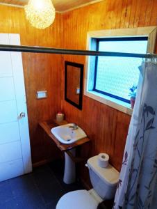 bagno con lavandino, servizi igienici e finestra di Hostal Turismo Allipen a Melipeuco