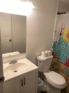 a bathroom with a sink and a toilet and a mirror at Entire cozy home in Madera +24 photos