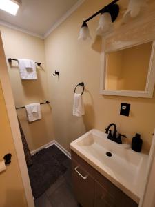 a bathroom with a sink and a mirror at Chill Retreat in great location (parking onsite) in Wilmington