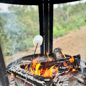 a marshmallow on top of a camp fire at WATERFRONT LUXURY GLAMPING DOME in Rogersville
