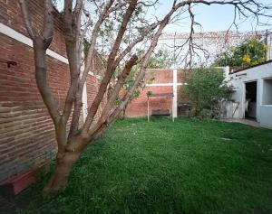 un árbol en un patio al lado de un edificio de ladrillo en Casa cerca de Andares, Amplia / Planta Baja @serra, en Guadalajara