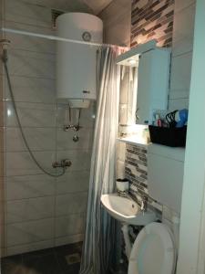 Koupelna v ubytování Bagins Apartman