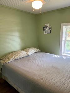 a bed in a green room with a window at New! The Turk Lake House - Lakefront With Toys! in Greenville