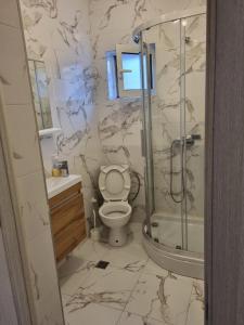 a bathroom with a toilet and a shower at Apartment Marijana in Tivat