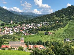 a small town in the middle of a valley with vineyards at Azuria Schwarzwald Loft in Kappelrodeck