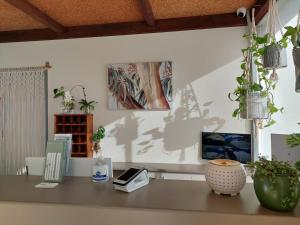 a table with plants on it in a room at Mount Wycheproof Motor Inn in Wycheproof