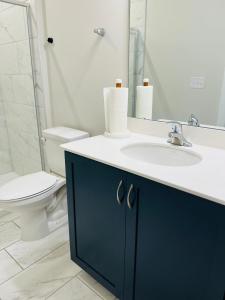 a bathroom with a sink and a toilet and a mirror at Charlotte Comfort Haven in Charlotte