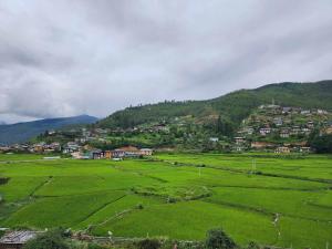 a large green field with houses on a mountain at Green valley boutique in Paro