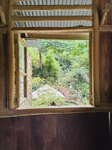 a window in a room with a view of a yard at back to nature ecotourism in Bukit Lawang