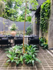 a patio with tables and chairs and plants at Saffron Robes Living in Hikkaduwa +37 photos