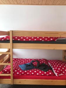 Poschodová posteľ alebo postele v izbe v ubytovaní Apartmán Janské Lázně
