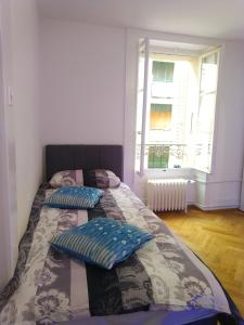 1 dormitorio con 2 camas con almohadas y ventana en Charming flat center and near the lake en Ginebra