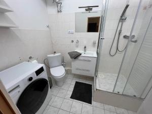 Ένα μπάνιο στο Apartmán Znojmo 1+1