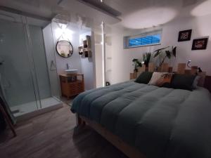 1 Schlafzimmer mit einem großen Bett und einem Badezimmer in der Unterkunft Appartement proche gare et centre-ville d'Amiens in Rivery