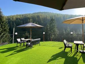 Příroda nedaleko hotelu + 37 fotografií