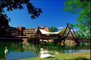 dos cisnes nadando en un río con un parque infantil en Basiglio - Residenza Sorgente, en Basiglio