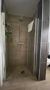 a shower with a glass door in a bathroom at Ferienwohnung Lilienthal in Lilienthal