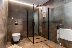 a bathroom with a shower stall and a toilet at Enebolig høy standard, sjøutsikt in Tokenes