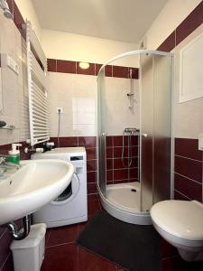 een badkamer met een douche, een wastafel en een toilet bij Garay Utca - Unit A52 in Boedapest