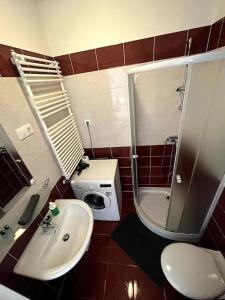 een badkamer met een wastafel, een toilet en een douche bij Garay Utca - Unit A52 in Boedapest