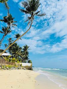 uma praia com palmeiras e o oceano em Soul Inn em Ahangama